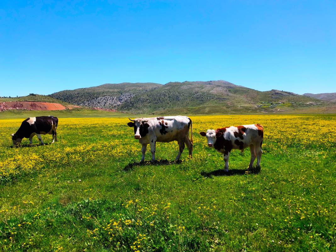 Konya’nın cennet köşesi baharı böyle karşıladı 13